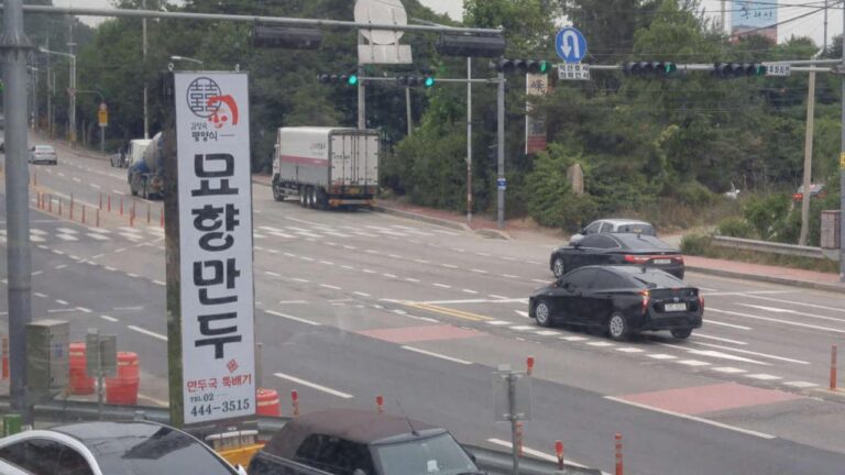 구리 맛집 오이소박이국수로 유명한 묘향만두 (Feat. 3대천왕)