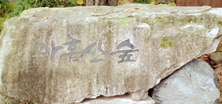 부산 가볼만한 곳 – 바람에 샤라락~ 힐링포인트 아홉산숲