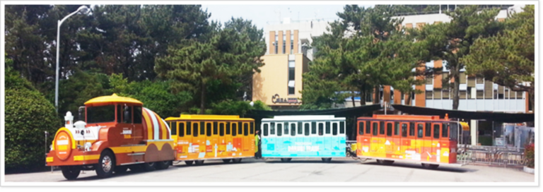 부산 가볼만한곳 태종대