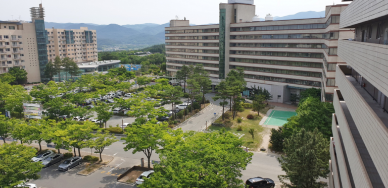 캔싱턴리조트 경주 방문기