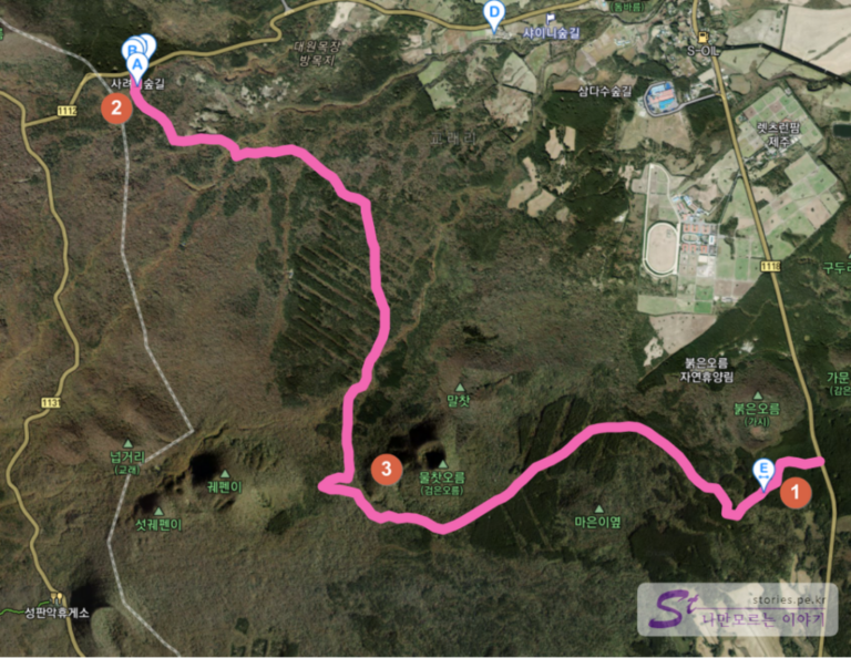 [제주여행] 아이유도 찾는 제주의 숨은 산책길 사려니숲길