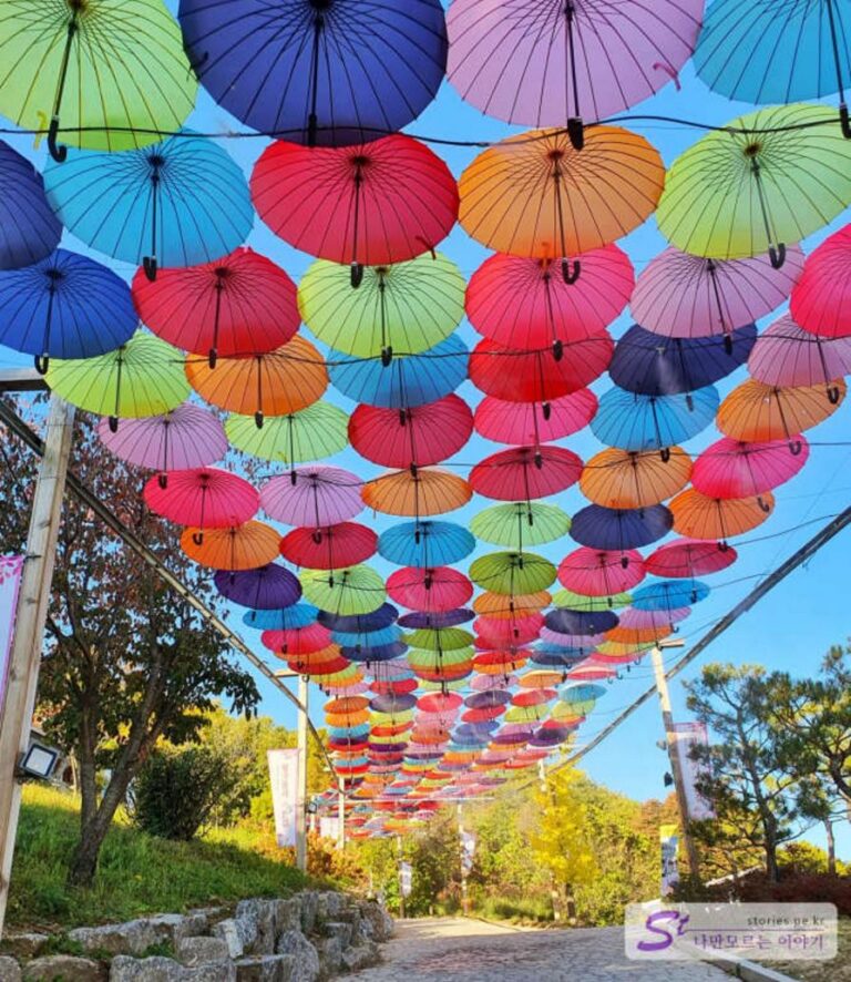 [포천여행]산책하면서 사진찍기 좋은 곳 허브아일랜드