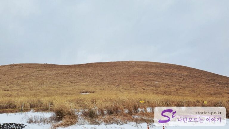 [제주 여행] 겨울에 올라가 본 새별 오름