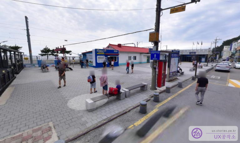 [동해] 정동진과 함께 가본 한국 최고의 헌화로 드라이브 코스