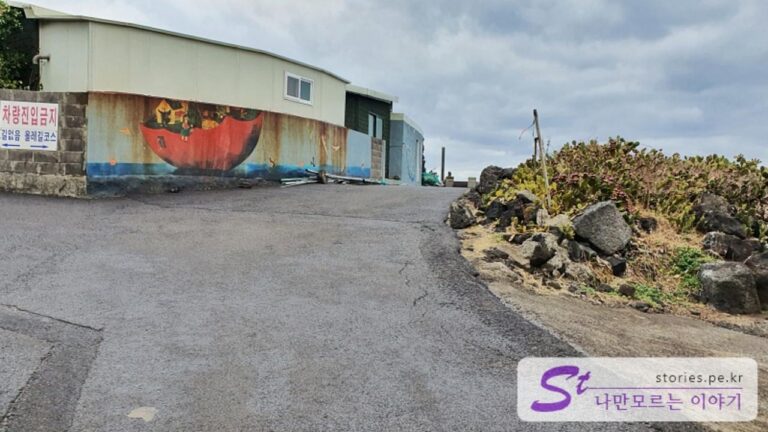 [제주 여행] 산책하기 좋은 월령리 선인장 마을