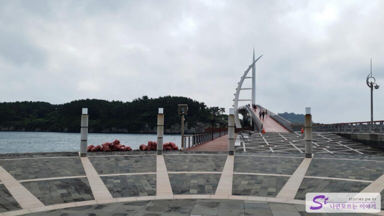 [제주 여행] 서귀포 새섬으로 갈 수 있었던 새연교