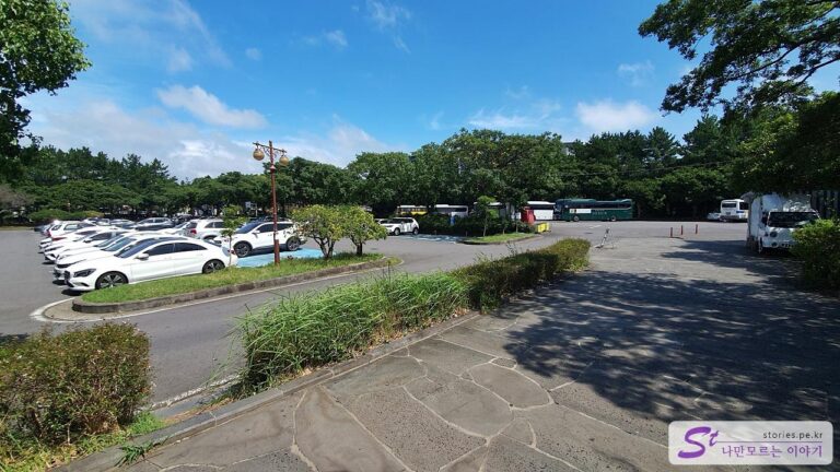 [제주 여행] 제주도 3대 폭포인 중문 천제연 폭포