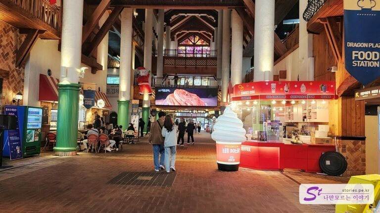 용평리조트 발왕산 케이블카 타고 천년주목나무숲길 방문기